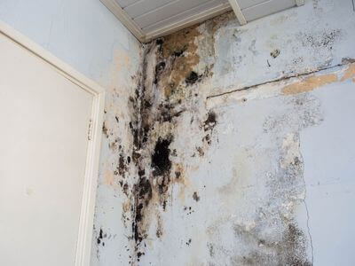About CleanNest Co - water damage restoration experts in Santee