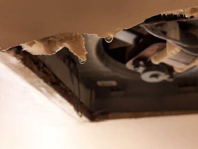 Professional water damage restoration services in Santee - CleanNest Co